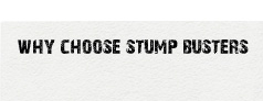 why choose winnipeg stump grinding experts